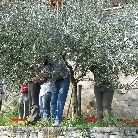 Gemuetliche Mit Grill Und Garten * Opatija